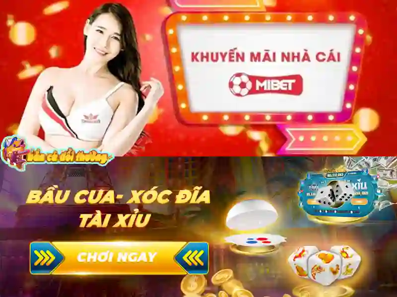 Không còn phải nghi ngờ về độ uy tín của Mibet Không còn phải nghi ngờ về độ uy tín của Mibet